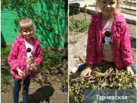 Фотоотчет недели "Мы сажали огород"  с нашими "Непоседами", "Улыбкой" и "Радугой"